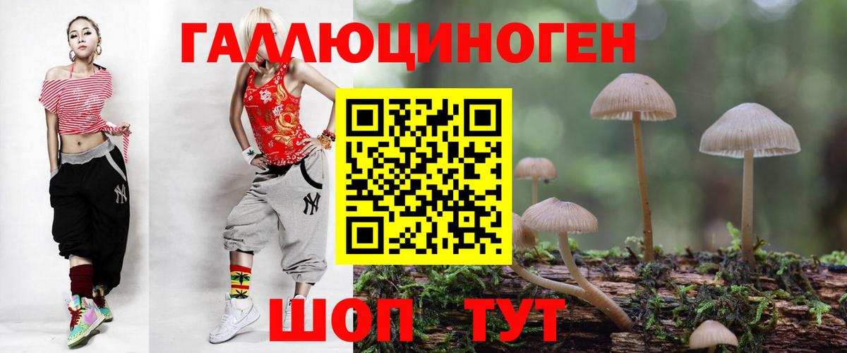 Галлюциногенные грибы GOLDEN TEACHER Новокубанск