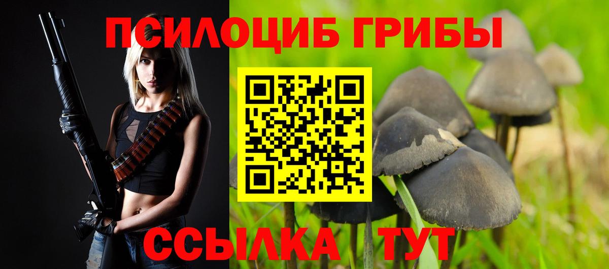 даркнет сайт  Псилоцибиновые грибы Cubensis  Новокубанск  Вход с VPN  Галлюциногенные грибы Magic Shrooms 